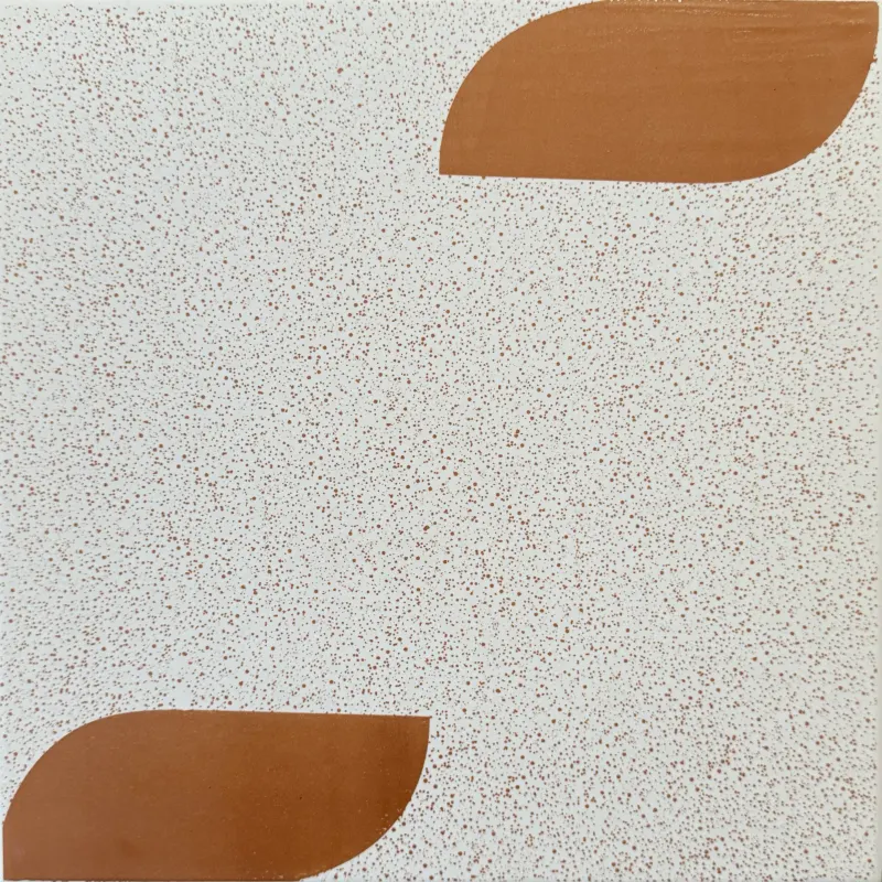 Carrelage granité beige à décor terracotta 30x30 – 212