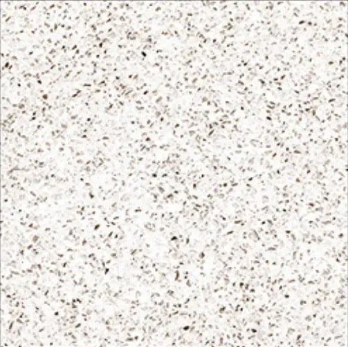 Carrelage granité blanc 40x40 – 21289