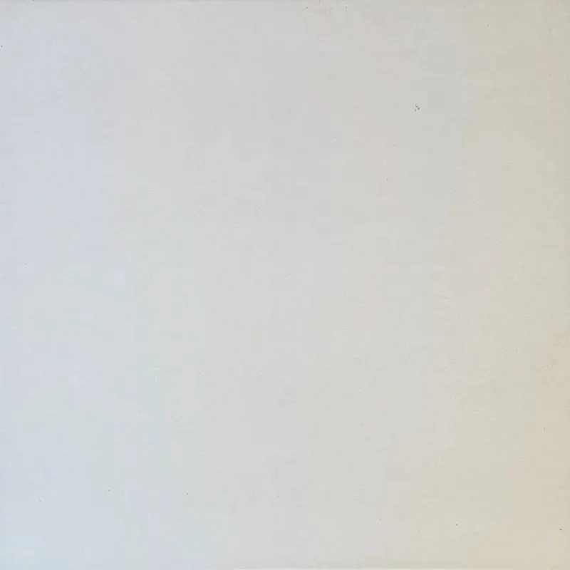 Carrelage uni blanc 40x40 – 98412