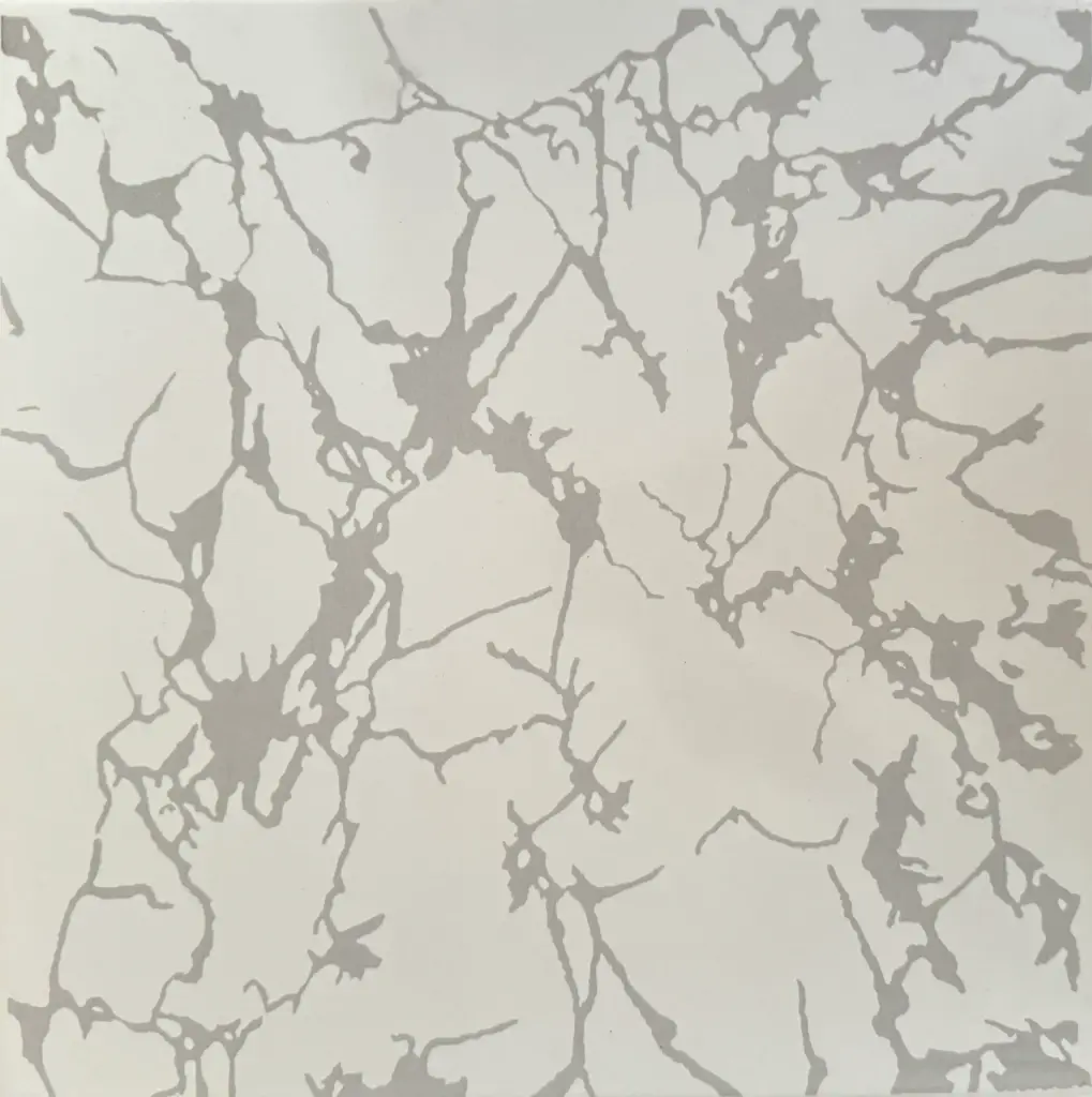 Carrelage marbré blanc craquelé 30x30 – 901