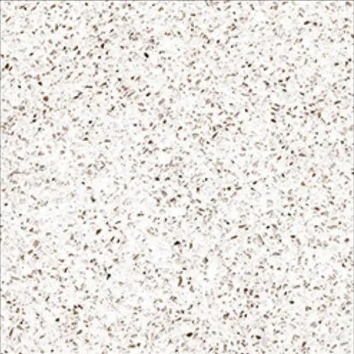 Carrelage granité blanc 40x40 – 21289