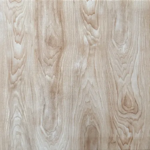 [20101 GLOSSY] Carreaux 30x30 20101 