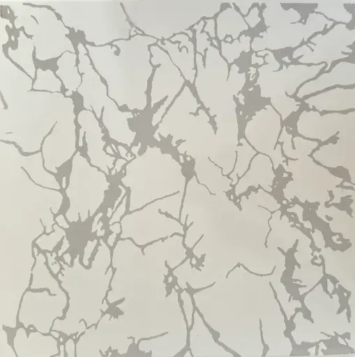 [901] Carreaux 30x30 901