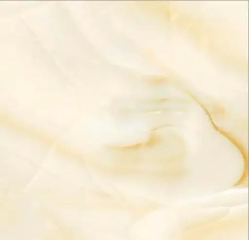 [11538] Carreaux 60x60 11538